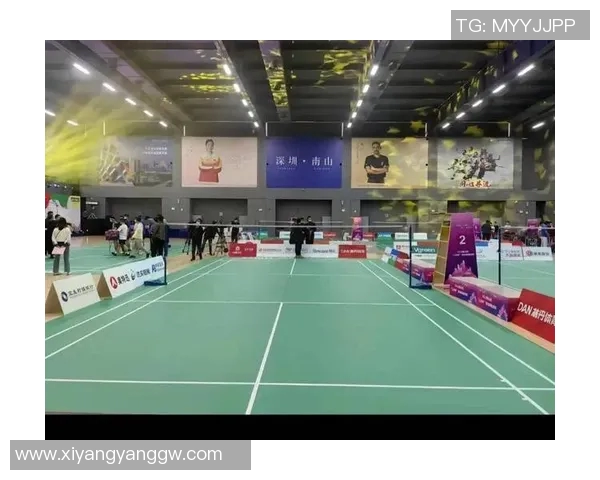 深圳羽毛球队的崛起之路与辉煌成就探秘 深圳羽毛球队的崛起之路与辉煌成就探秘