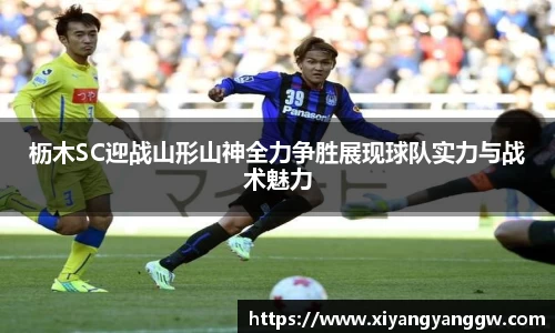 OB电竞APP