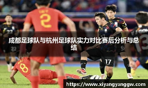 成都足球队与杭州足球队实力对比赛后分析与总结